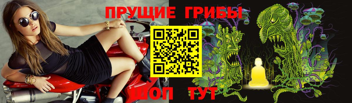 Псилоцибиновые грибы ЛСД  хочу наркоту  Химки  Вход с VPN 